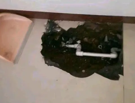 盘龙卫生间测漏水多少钱